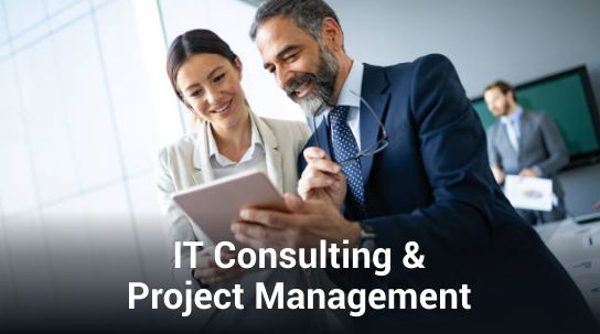 IT Consulting & Project Management